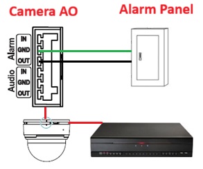 camera AO trigger.jpg